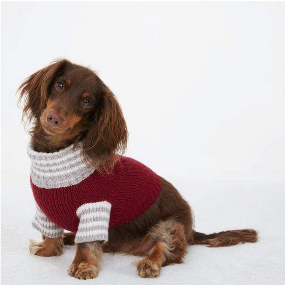 Club Monaco Knit Dog Sweaters, Limited Edition